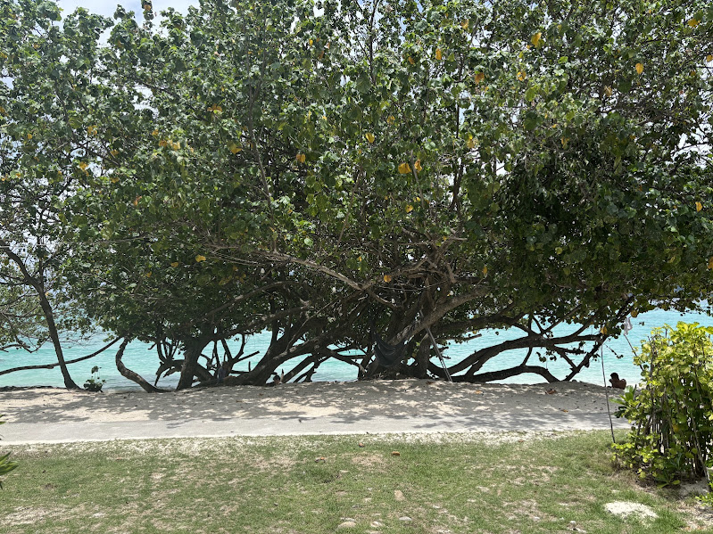 ピピ島 Paradise Resort ビーチフロント