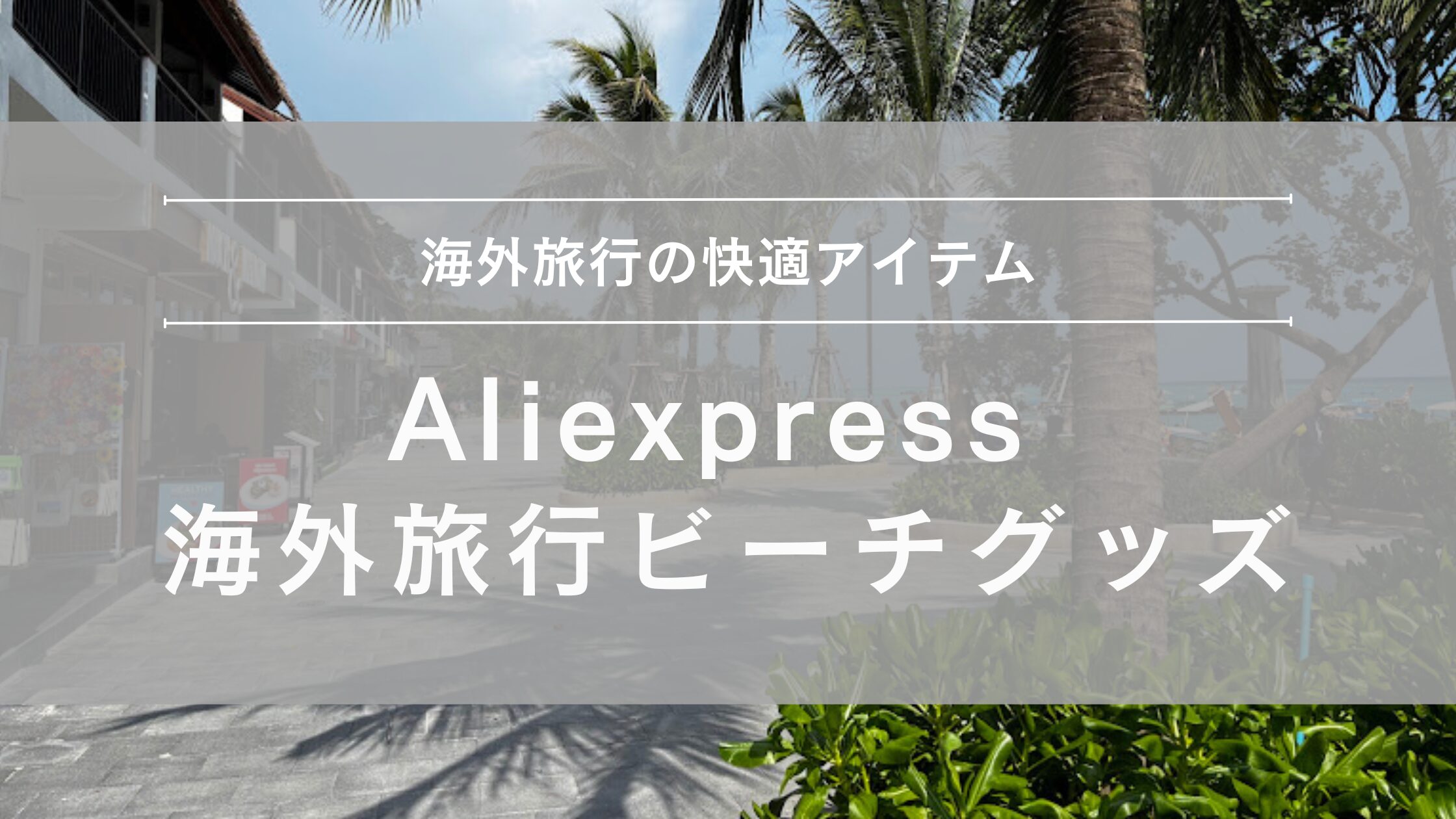 アリエクスプレス ビーチグッズ