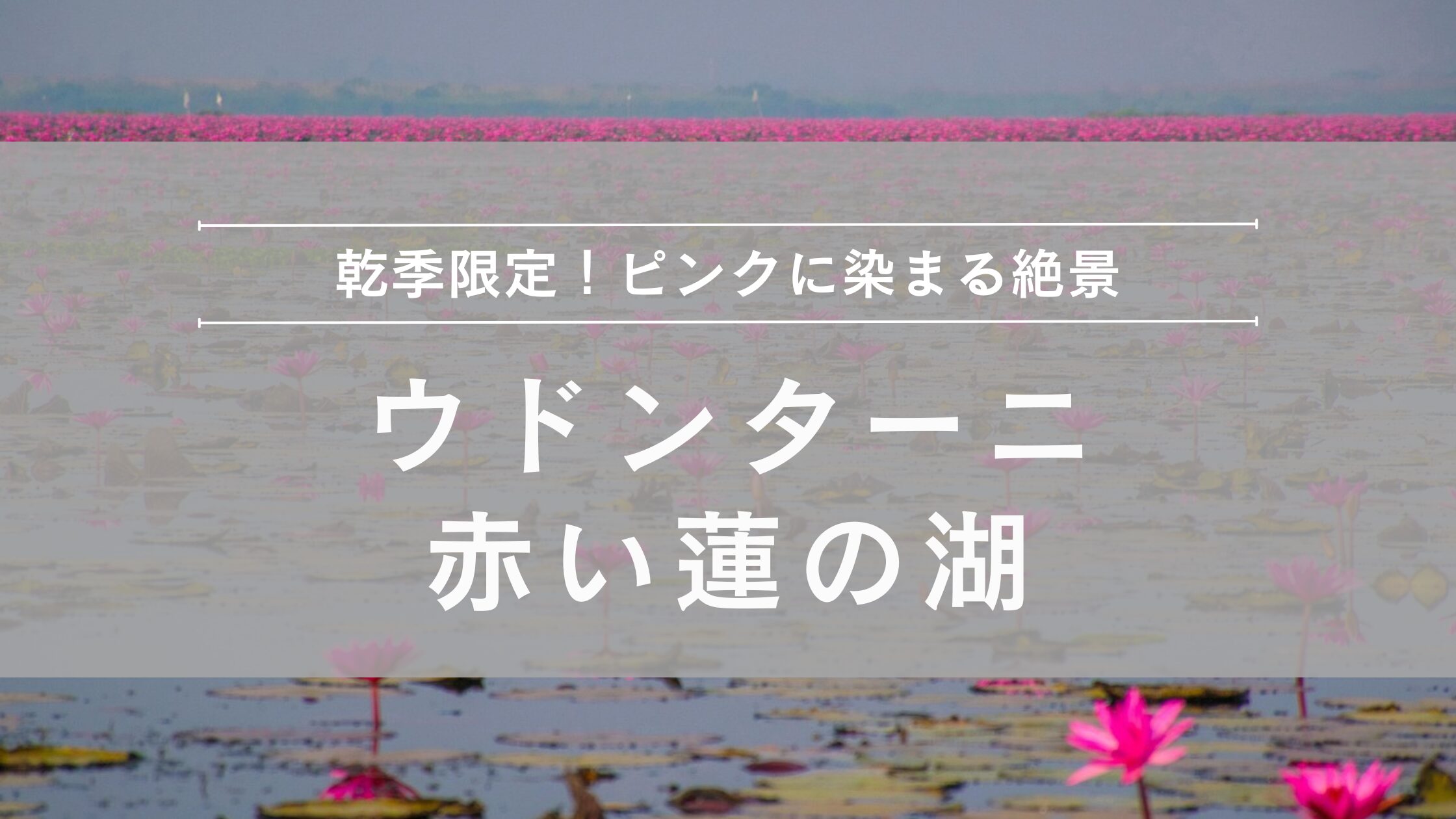 ウドンターニの赤い蓮の湖