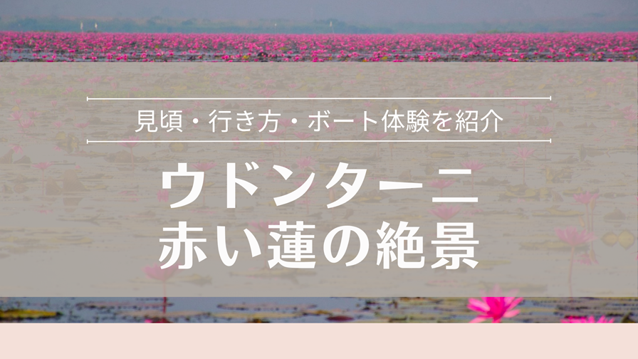 ウドンターニ赤い蓮の絶景 見頃・行き方・ボート体験を紹介